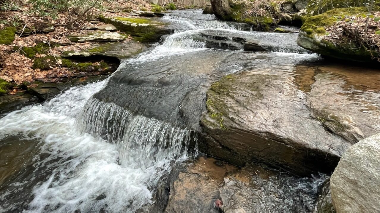 Springs Mennonite Church
